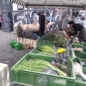 5d33c5fb-9df5-4ef4-8092-75ac39a6c987